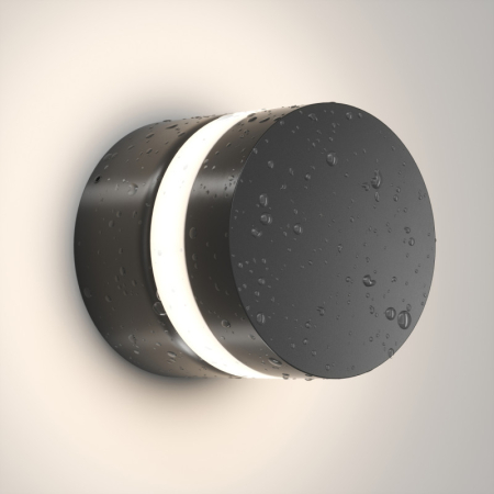 Светильник настенный Denkirs DK9810-BK