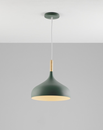 Подвесной светильник Moderli V1296-1P