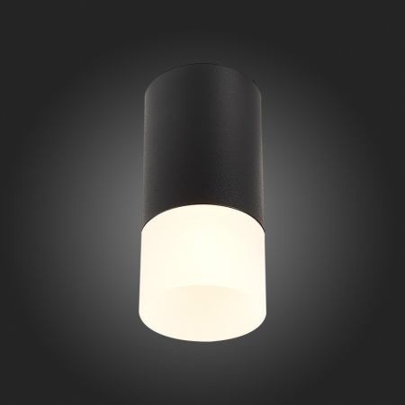 Накладной светильник ST-Luce ST100.412.01