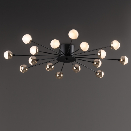 Накладная люстра Freya FR5242CL-16B