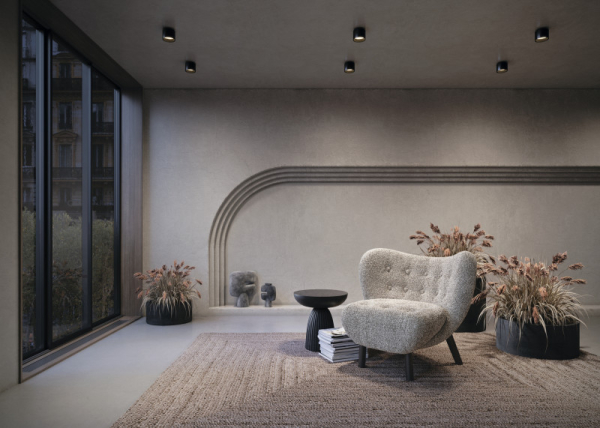 Накладной светильник Maytoni Technical C009CW-L12B