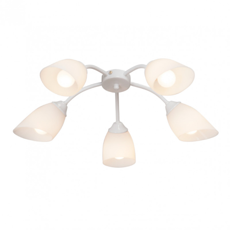 Накладная люстра Vitaluce V3194/5PL