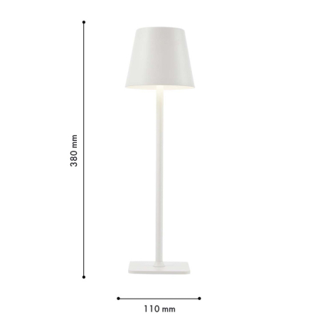 Настольная лампа F-Promo 4614-1T