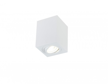 Накладной светильник Simple Story 2038-1CLW