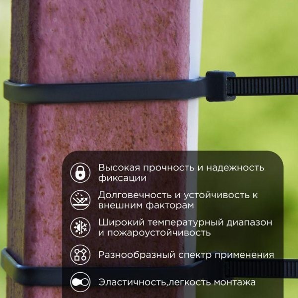 Стяжка нейлоновая Профессиональная 200x4,8мм, черная (100 шт/уп) REXANT