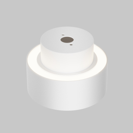 Накладной светильник Maytoni Technical C092CL-GX53-W