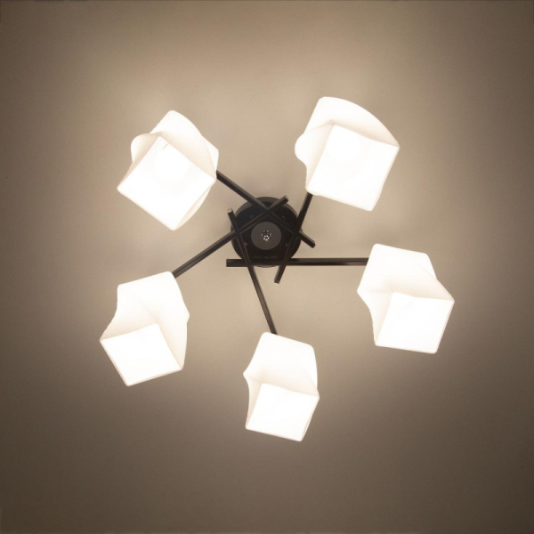 Накладная люстра Citilux CL135151