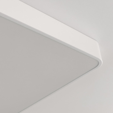 Накладной светильник Citilux CL724K95G0