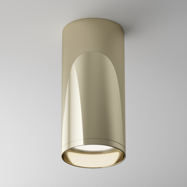 Накладной светильник Maytoni Technical C010CL-01G