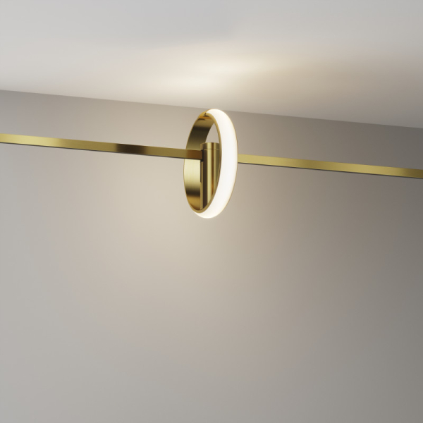 Светильник на шине Maytoni Technical TR230-1-10W3K-BS