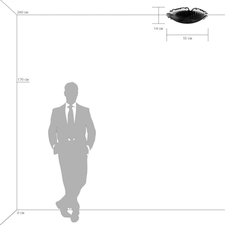 Накладной светильник Lightstar 601053