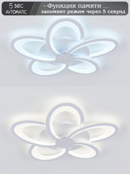 Накладная люстра Natali Kovaltseva LED LAMPS 81173