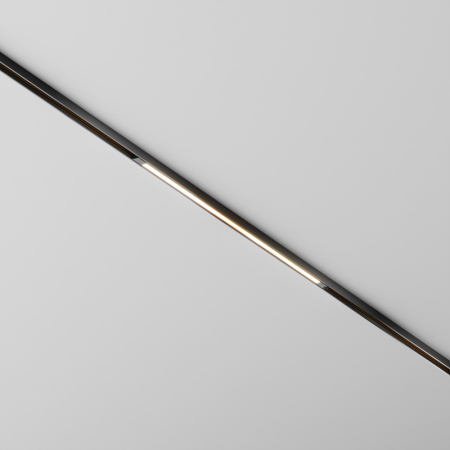 Светильник на шине Maytoni Technical TR240-2-12W3K-B