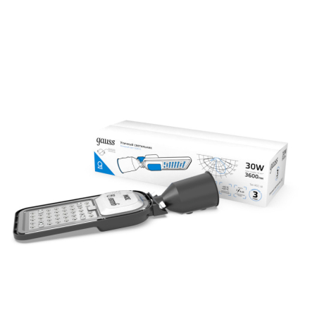 Консольный светильник Gauss 629535330