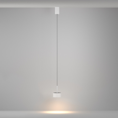 Подвесной светильник Maytoni Technical P102PL-12W3K-W