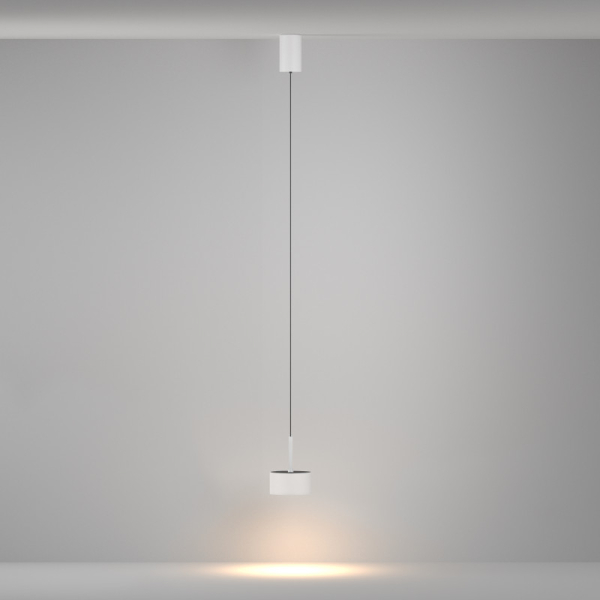 Подвесной светильник Maytoni Technical P102PL-12W3K-W