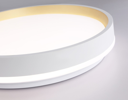 Накладной светильник Ambrella Light FZ601