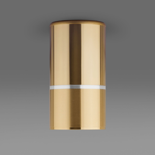 Накладной светильник Elektrostandard DLN106 GU10 золото