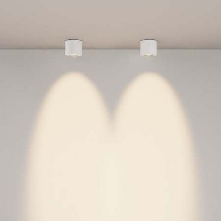 Влагозащищенный светильник Maytoni Technical C217CL-15W3K-W