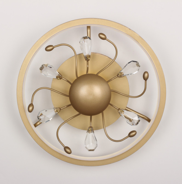 Накладной светильник Favourite 2534-2C