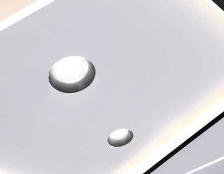 Накладной светильник Ambrella Light FL5065