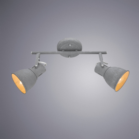 Спот ARTE Lamp A1677PL-2GY