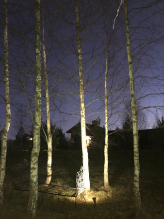 Грунтовый светильник Covali FL-33005