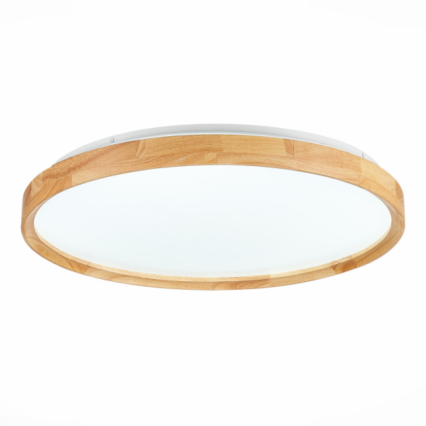 Накладной светильник Evoluce SLE201382-01