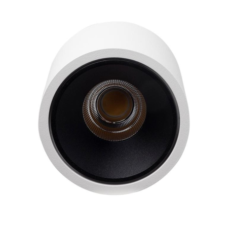 Накладной светильник LeDron RINBOK White/Black