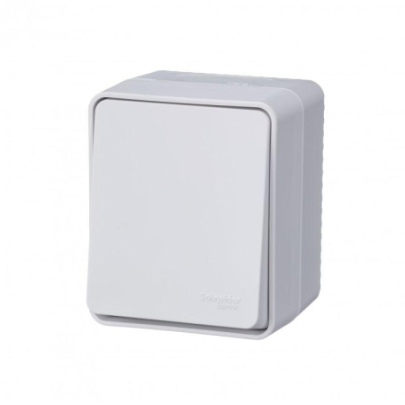 Переключатель проходной 1-кл. ОП AtlasDesign PROFI IP54 10AX бел. SE ATN540161