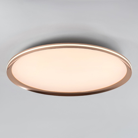 Накладной светильник LED4U L3020-600 GD