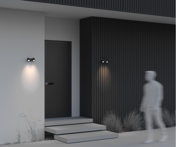 Светильник настенный Maytoni O010WL-02B