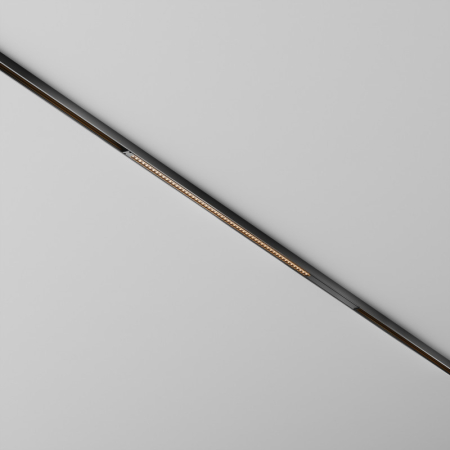 Светильник на шине Maytoni Technical TR241-4-12WTW-DD2-B