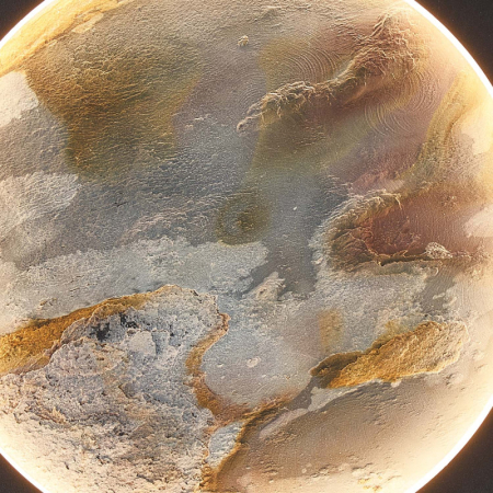 Бра Favourite 4596-1W