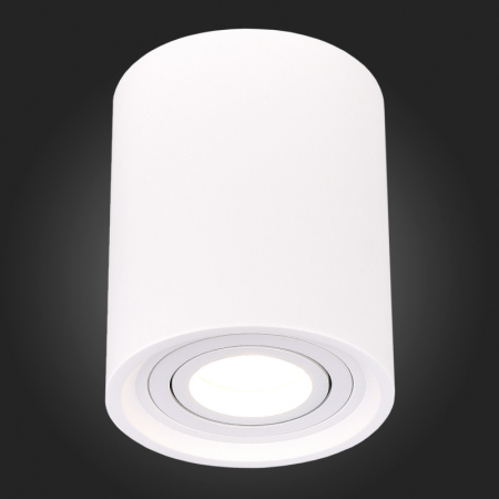 Накладной светильник ST-Luce ST156.502.01