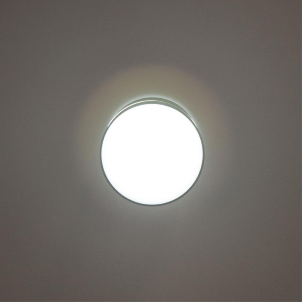 Накладной светильник Citilux CL745011N