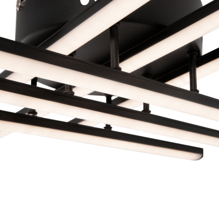 Накладная люстра Freya FR6024CL-L42B