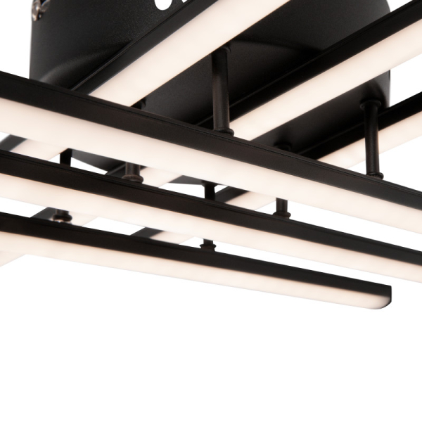 Накладная люстра Freya FR6024CL-L42B