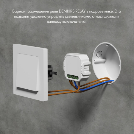 Wi-Fi реле Denkirs RL1001-SM