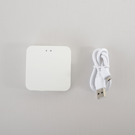 WI-FI конвертер Crystal Lux CLT 0.203 12