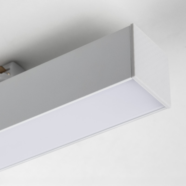 Светильник на шине Lightstar 202046