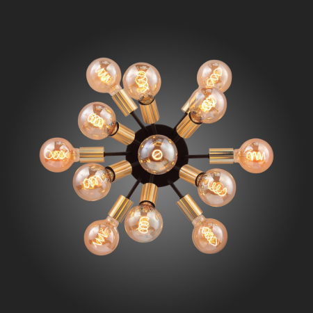 Накладная люстра ST-Luce SL437.402.13