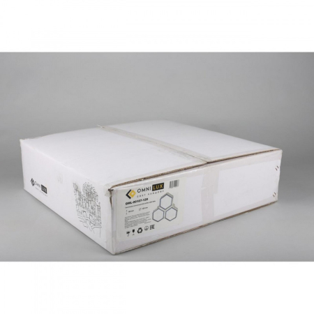 Накладная люстра Omnilux OML-00107-120