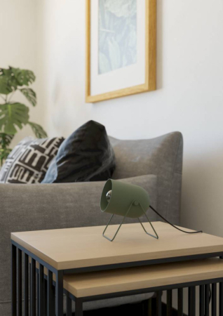 Настольная лампа EGLO 44136