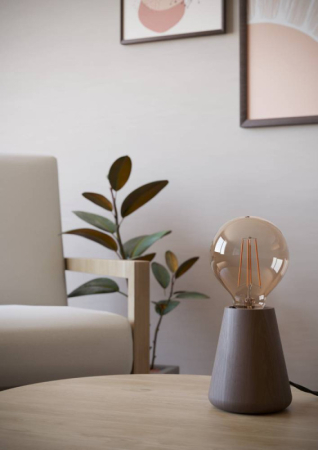 Настольная лампа EGLO 44015