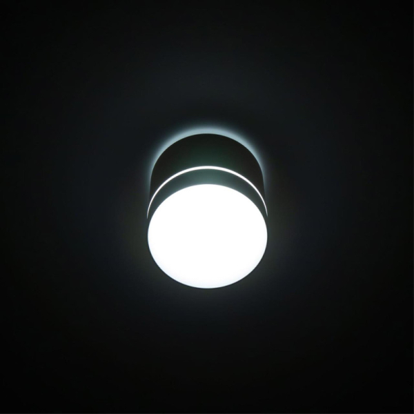 Накладной светильник Citilux CL745020N