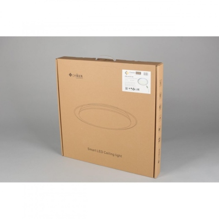 Накладной светильник Omnilux OML-43107-60