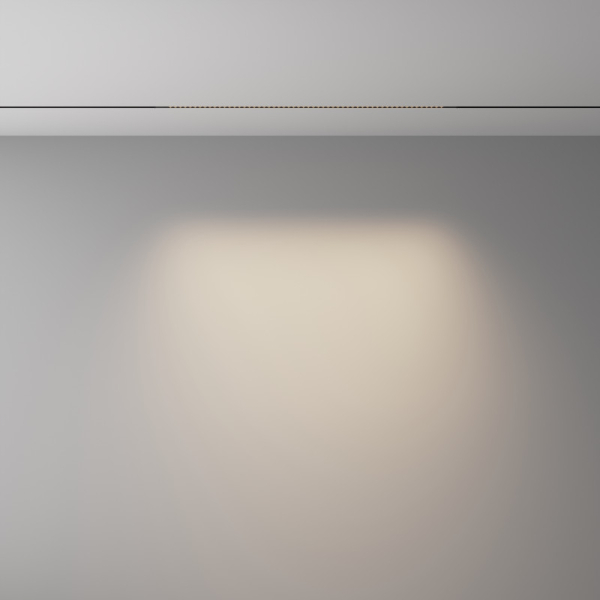 Светильник на шине Maytoni Technical TR241-2-12W4K-B