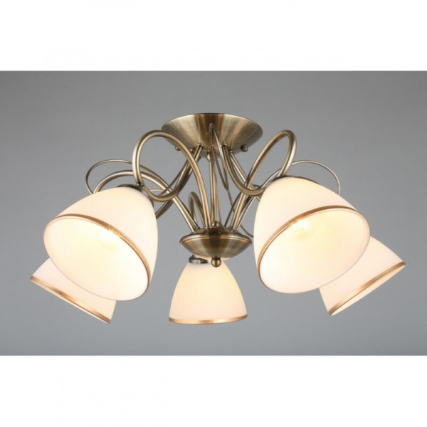 Накладная люстра Omnilux OML-25307-05