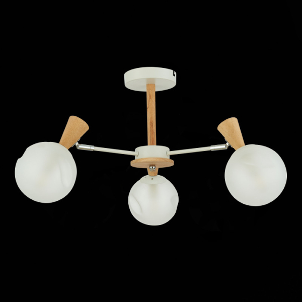 Люстра на штанге Evoluce SLE220702-03